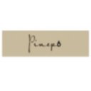 Logo de PINEPO